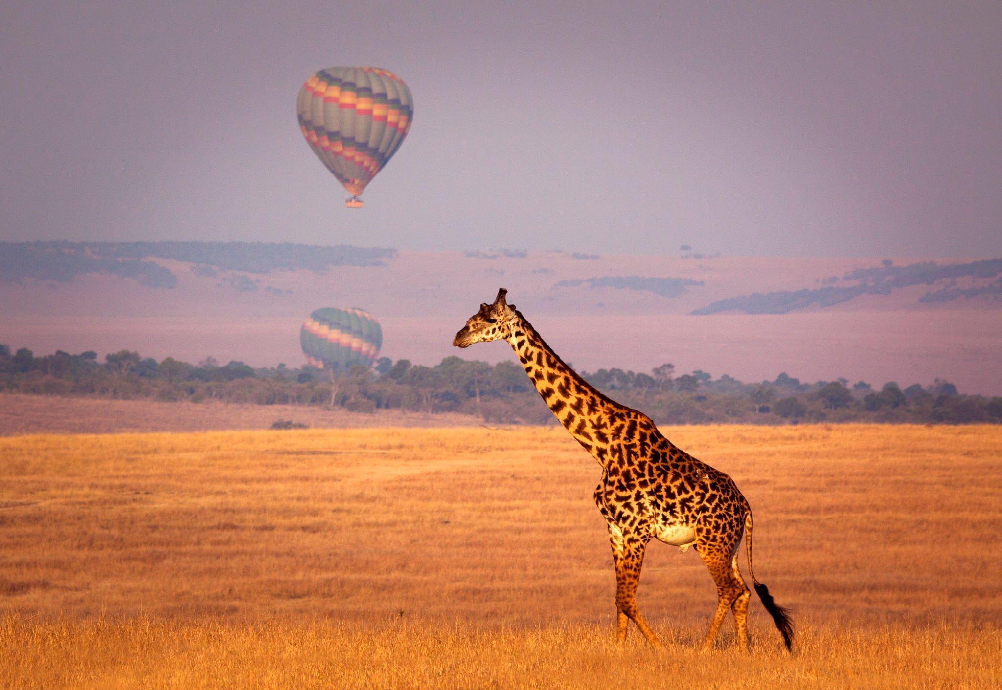Tanzania mid-range safaris