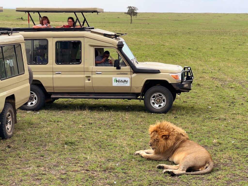 Tanzania Safari Vs Kenya Safari