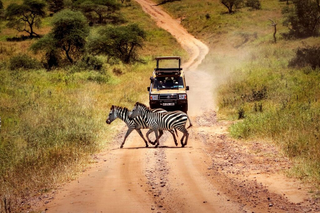 2024 and 2025 Tanzania Safaris and Tours