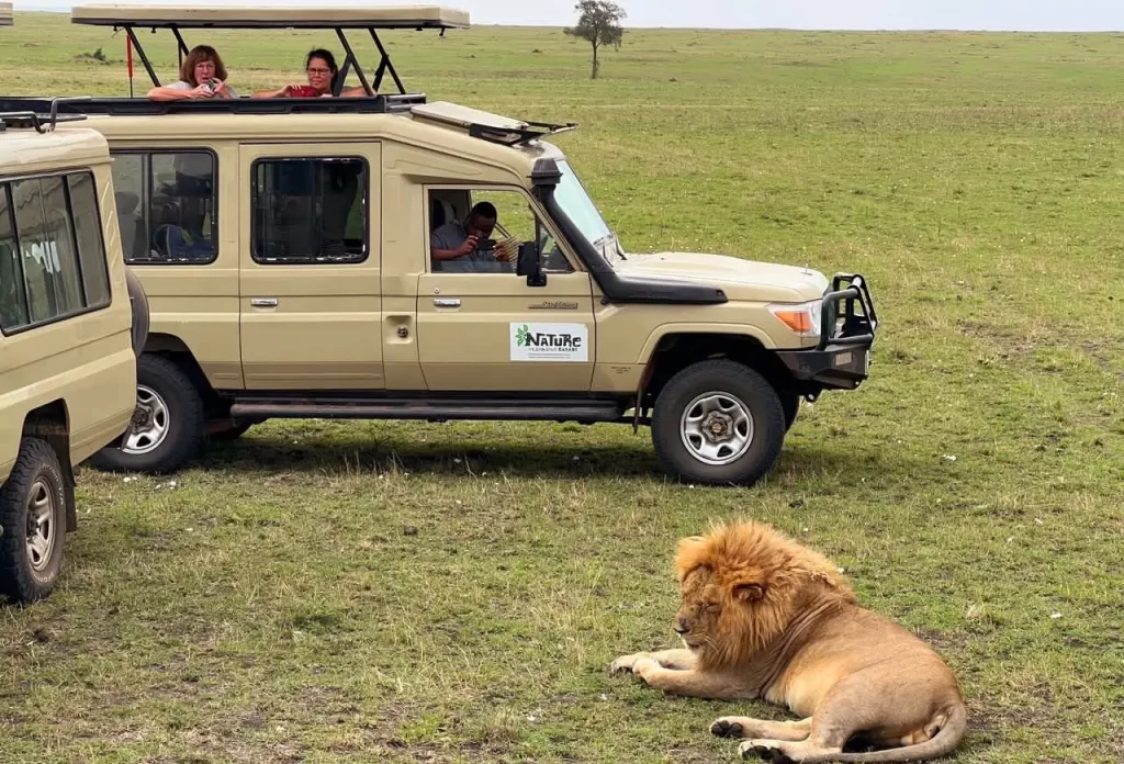Best Tanzania safaris